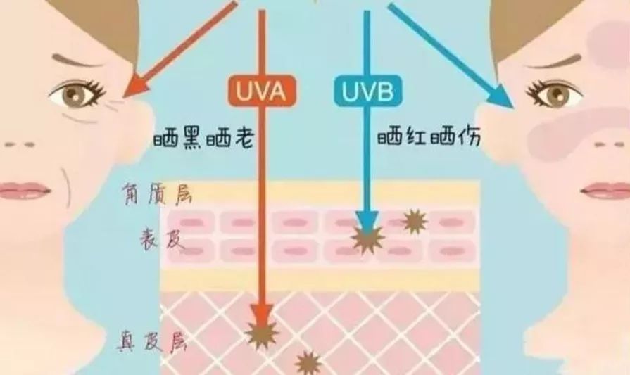 防晒渔夫帽到底多好用?遮挡99的紫外线,难怪大S上节目都要戴