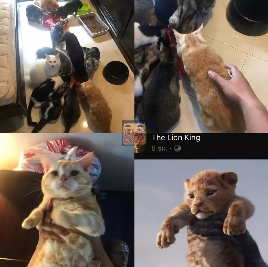 十大魔性cosplay,有没有不露腿的cos服