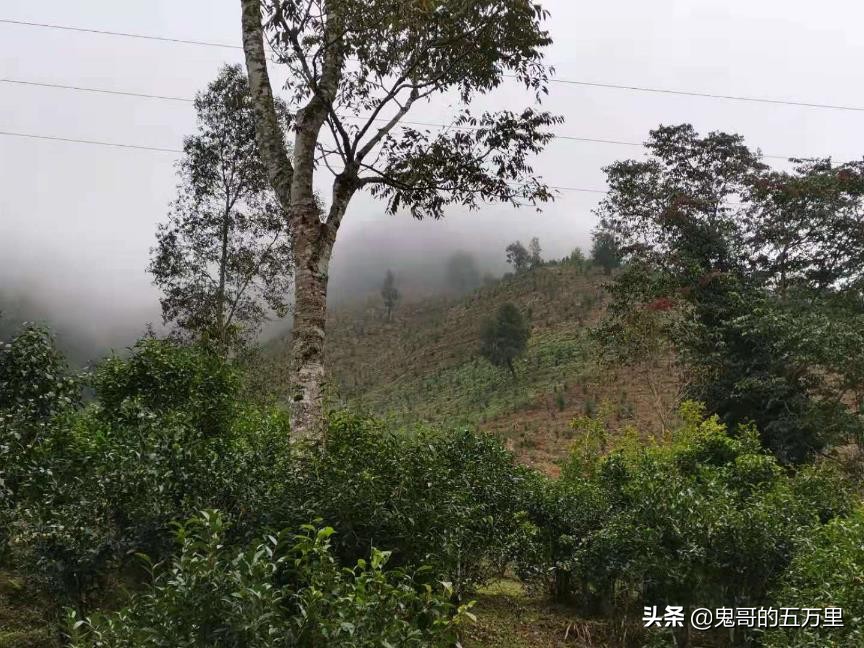 鬼哥的五万里D108骑记：给回族商人点赞（曼腊乡-整董镇）