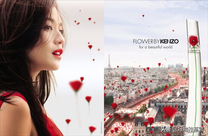 闻香识女人香水小样,女士香水选购攻略