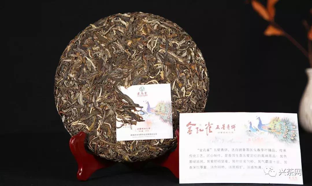 孔雀之美,顺势而赢老马帮即将推出的“金孔雀”有何创新之处?