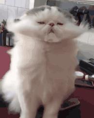 新乡工资5000,全国平均月工资河南新乡