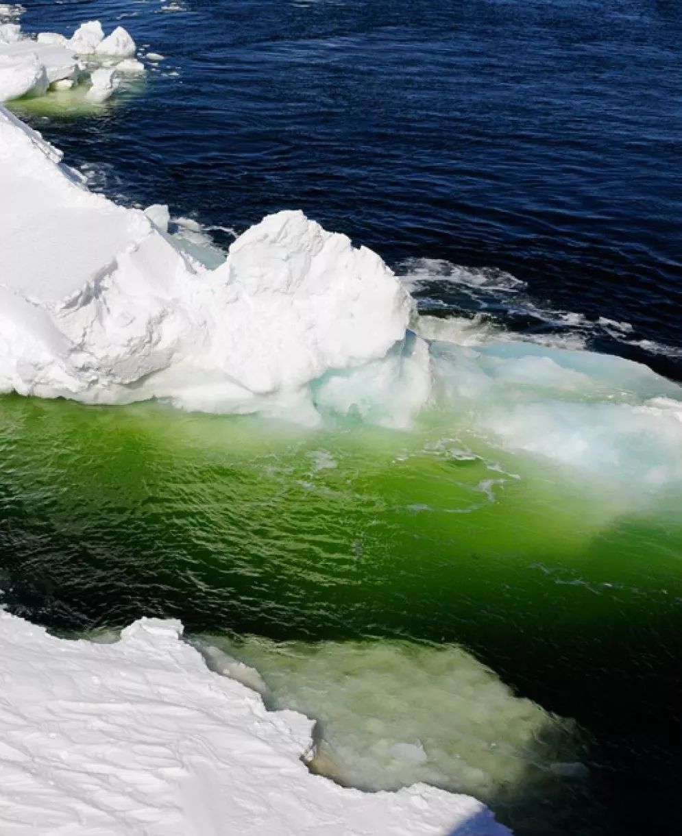 南极从哪里来的最多,南极从哪里开始到哪里结束