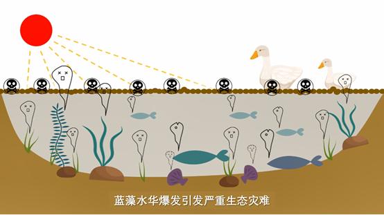 蓝藻到底有多可怕,蓝藻是怎么进化来的