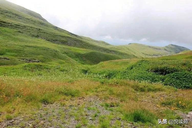 范墩子精彩视频,范墩子