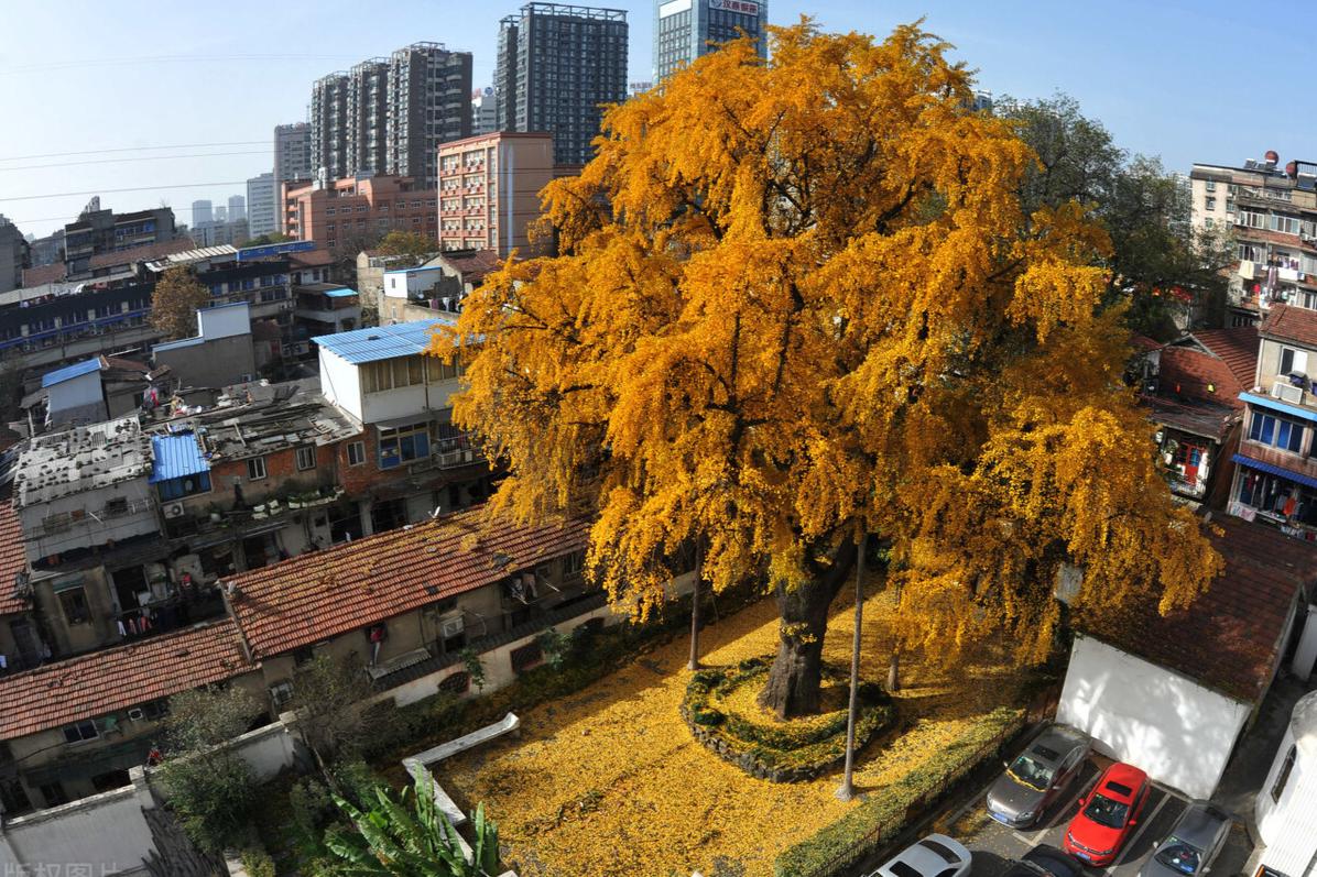 武汉汉阳区房价一览表,武汉15万最好的房源