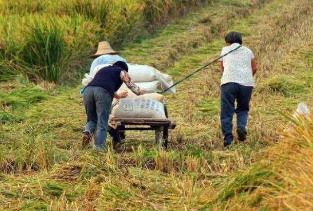 农村兄弟不和的原因有哪些,农村兄弟之间的关系