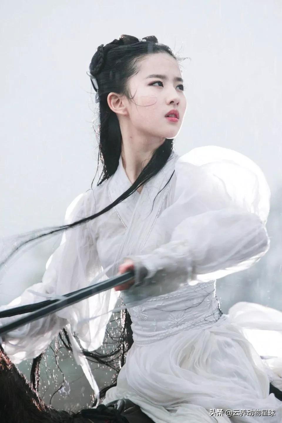 必备的马术知识,马术能不能速成