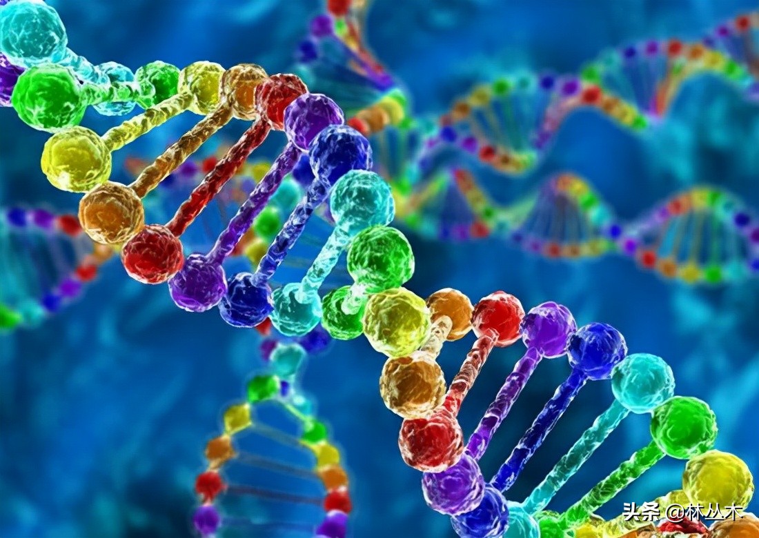 为什么年轻人思维更好,为什么有些人思维那么高