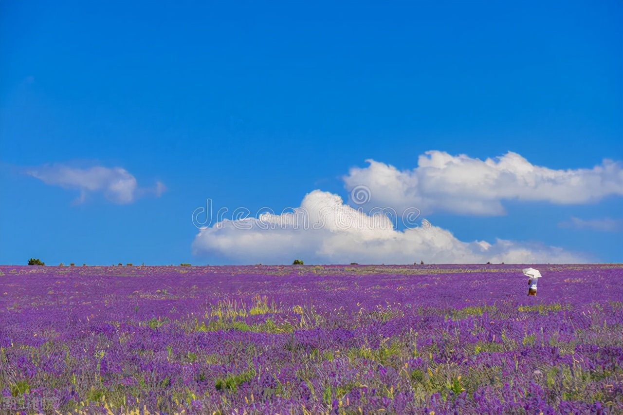 诗如何押韵有效的方法,谈谈诗的押韵及其禁忌