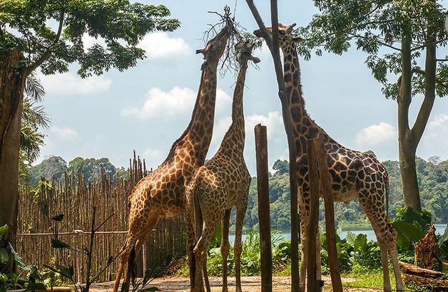 乐高世界最震撼的乐园,乐高超大型主题乐园搭建