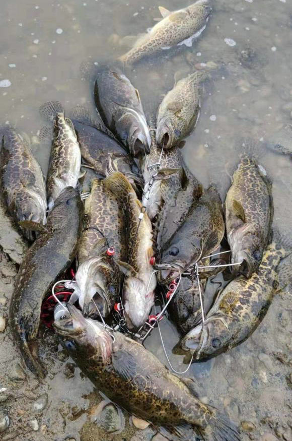 千岛湖收缴鱼竿,千岛湖钓鱼没收鱼竿了怎么办