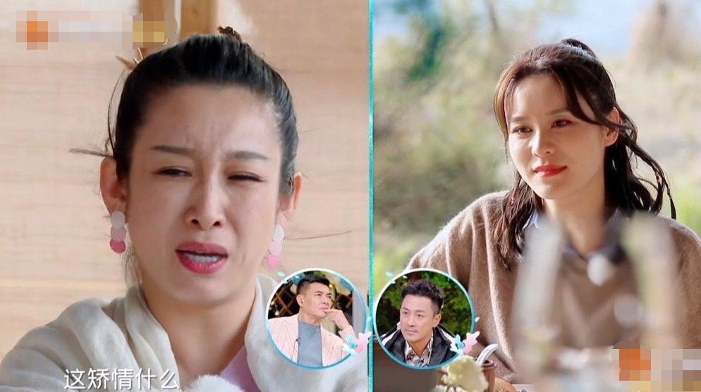 杨澜访谈胡歌,杨澜访谈录赵本山央视主持人