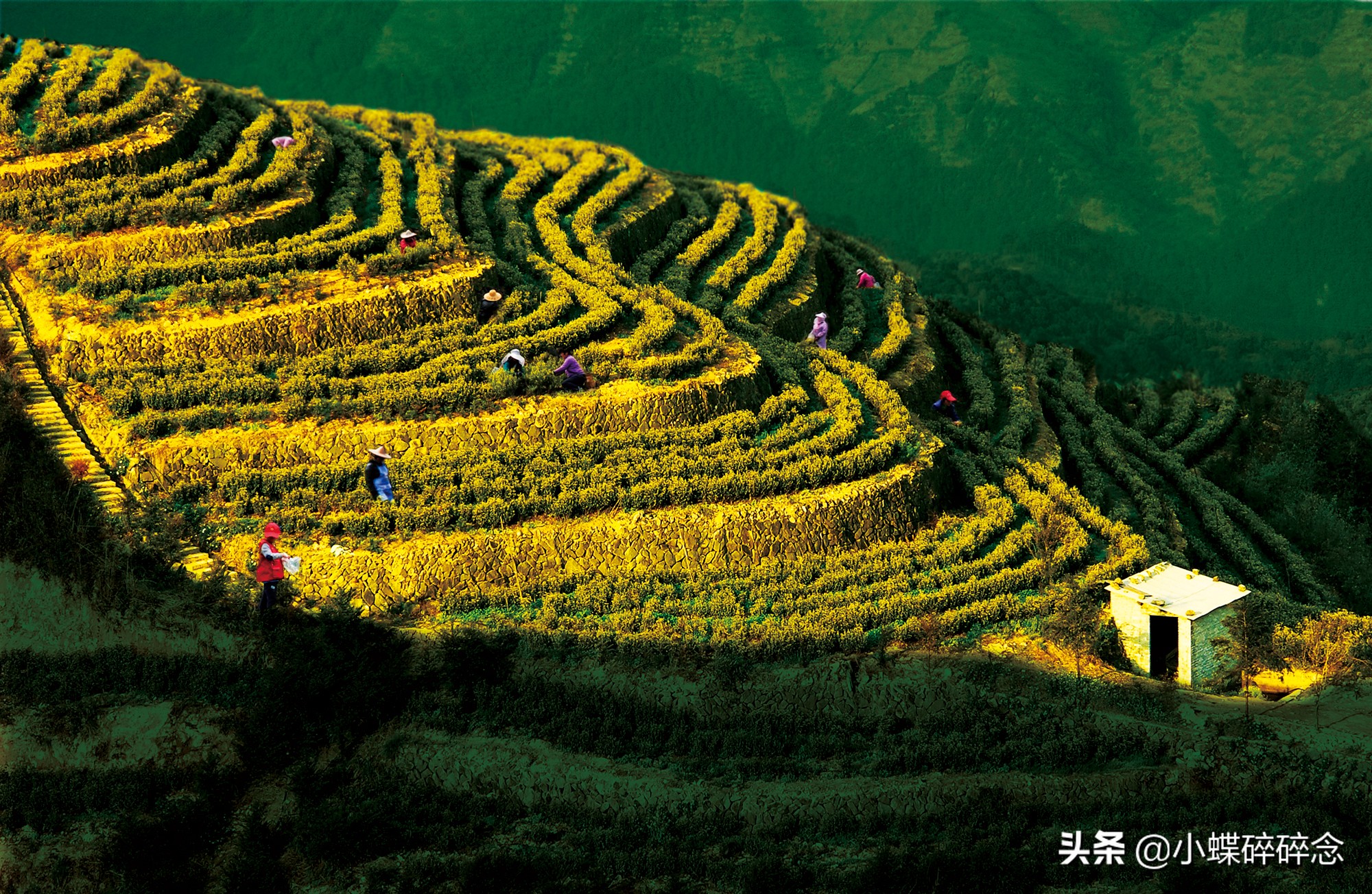 跟我去一趟缙云，告诉你怎样的江南行叫“不虚此行”