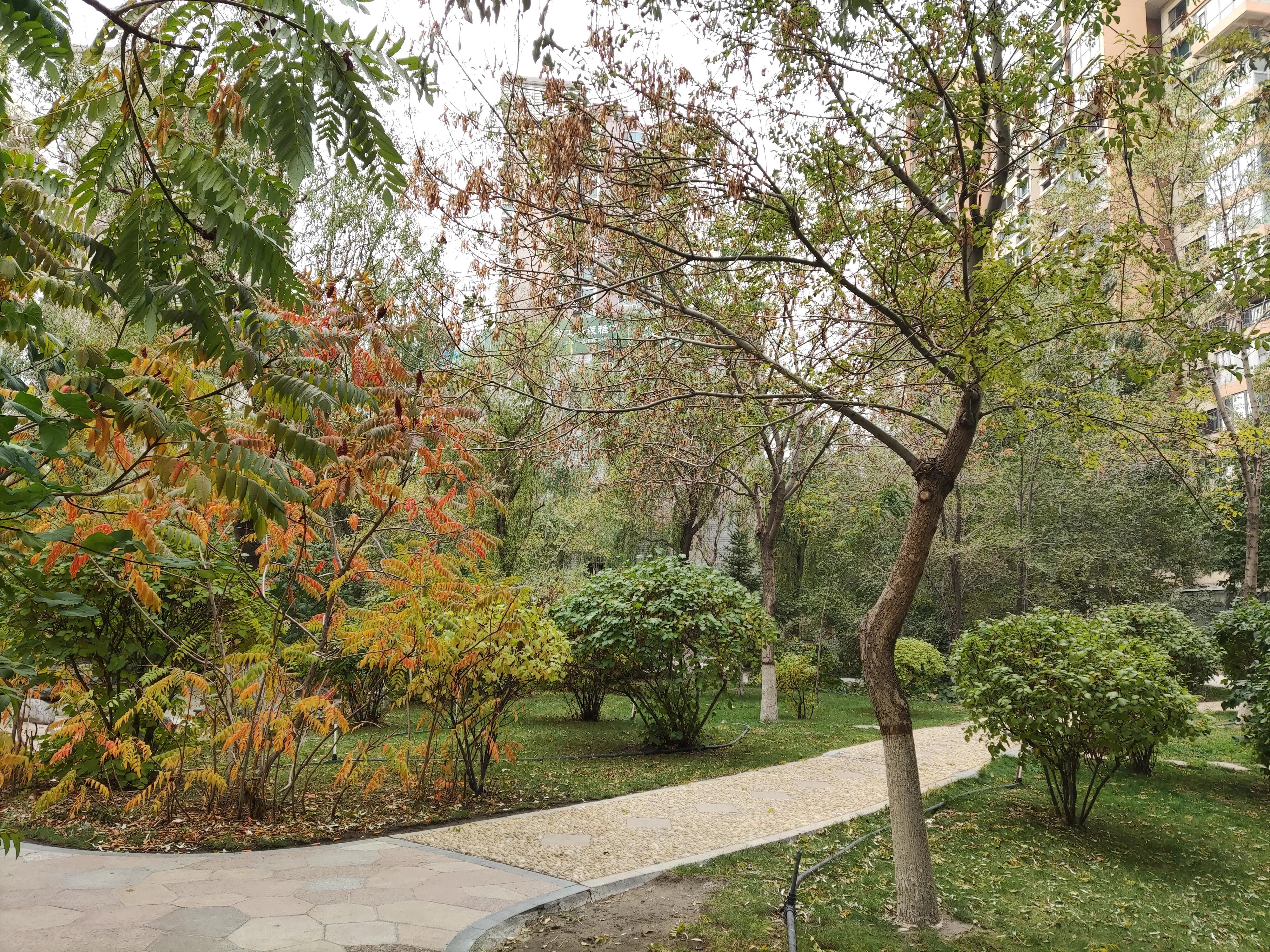 乌鲁木齐市南湖绿化广场附近小区,乌鲁木齐绿化最好的公园