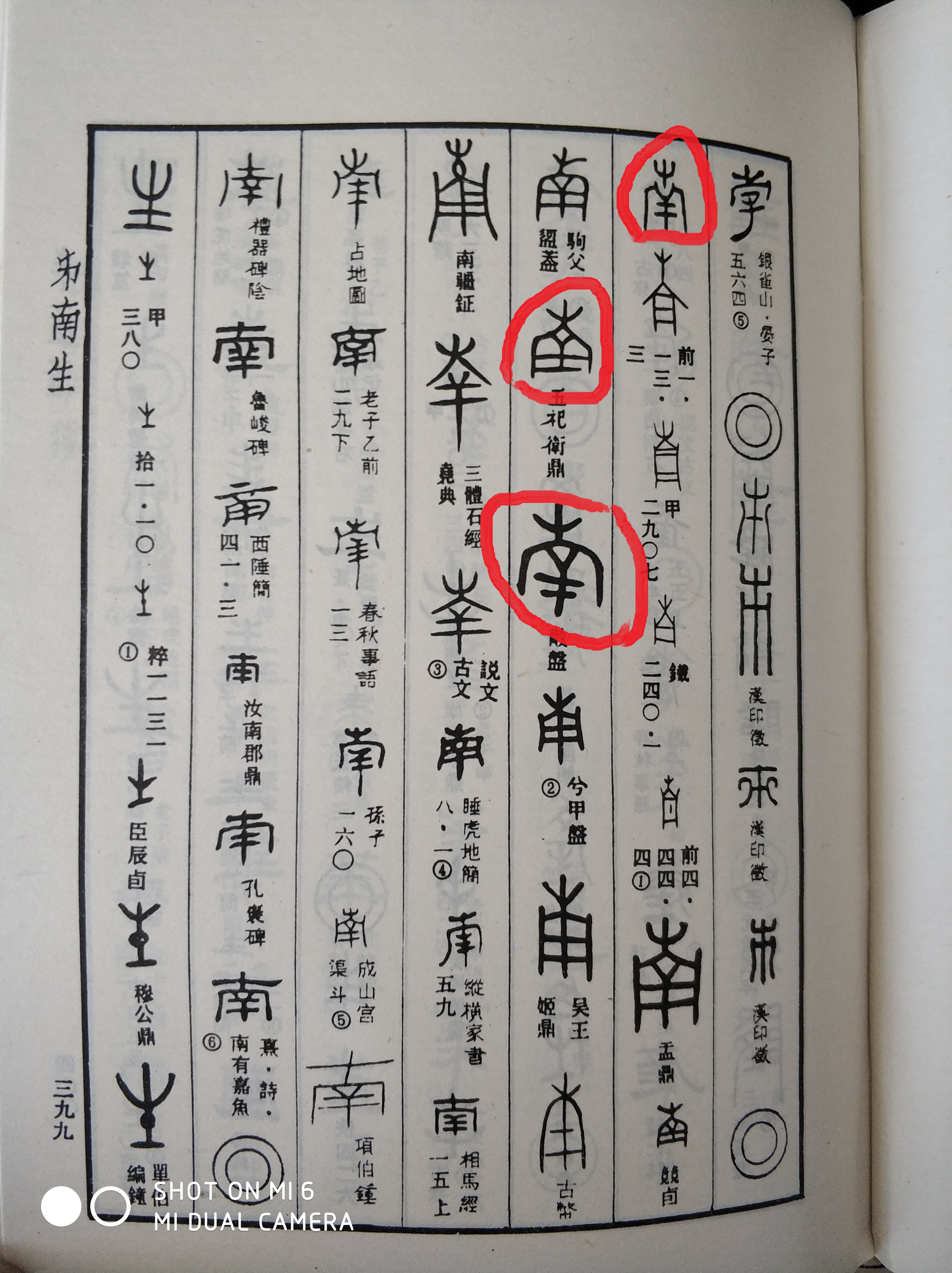 中国龙原型,中国龙的原型是什么