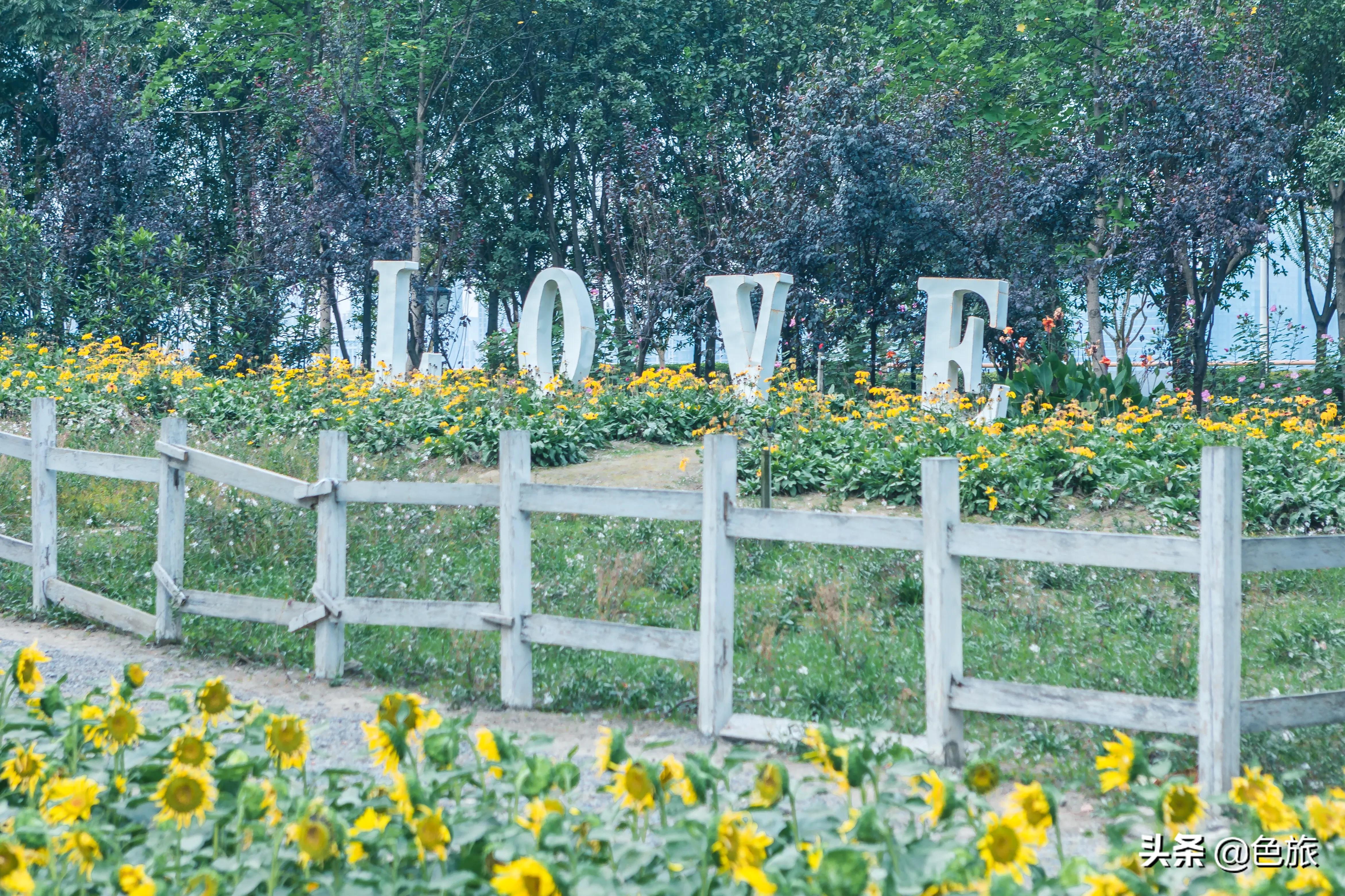 杭州花海网红打卡,杭州粉黛花海打卡地