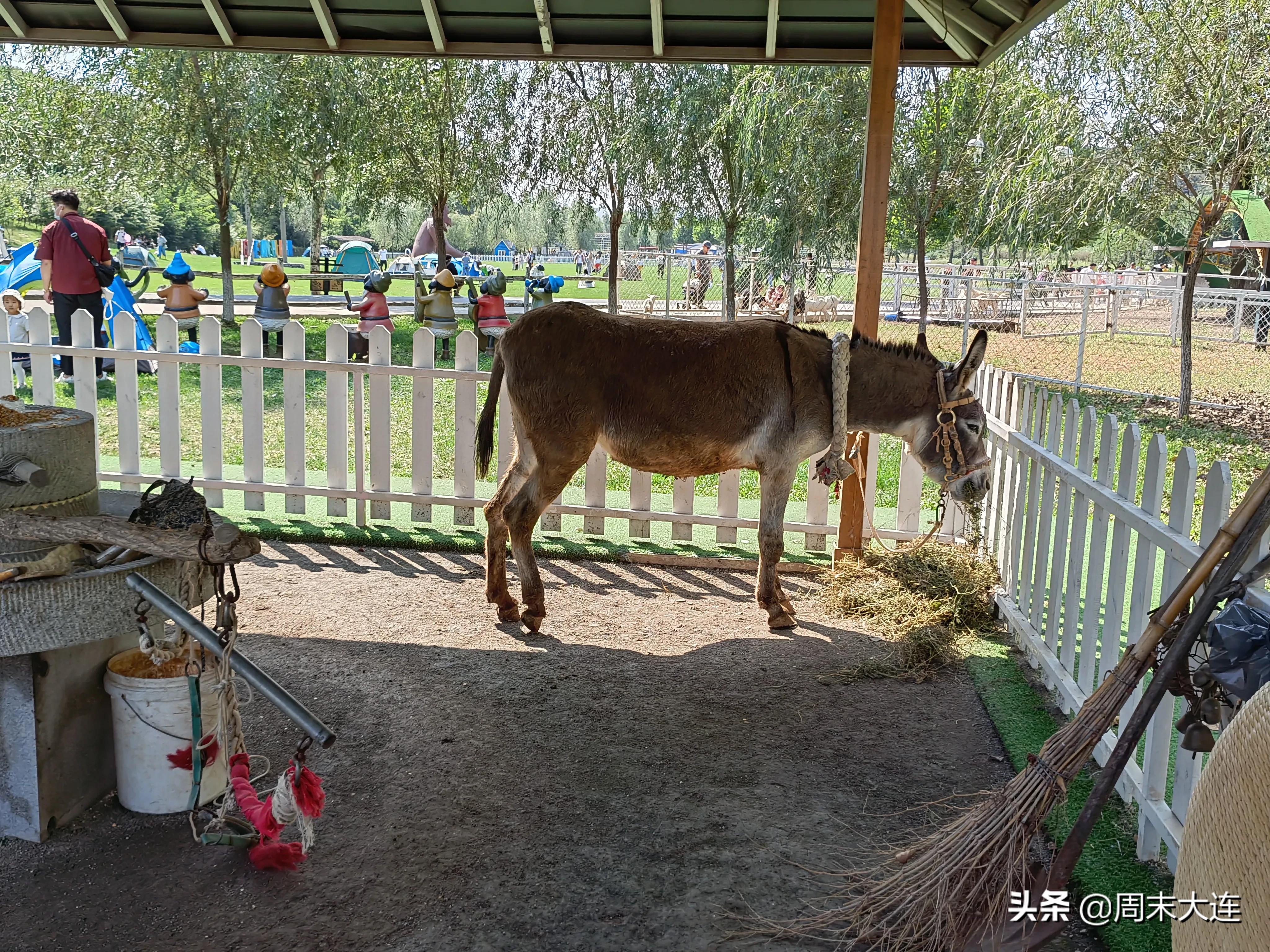铭湖牧场是哪,铭湖牧场简介
