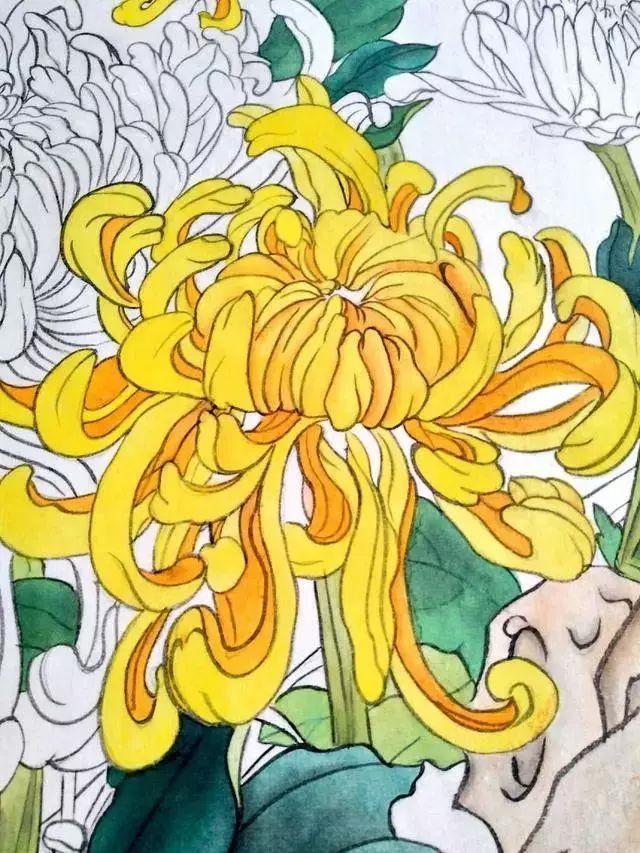 国画菊花教程工笔,工笔国画教程菊花蓝蝶