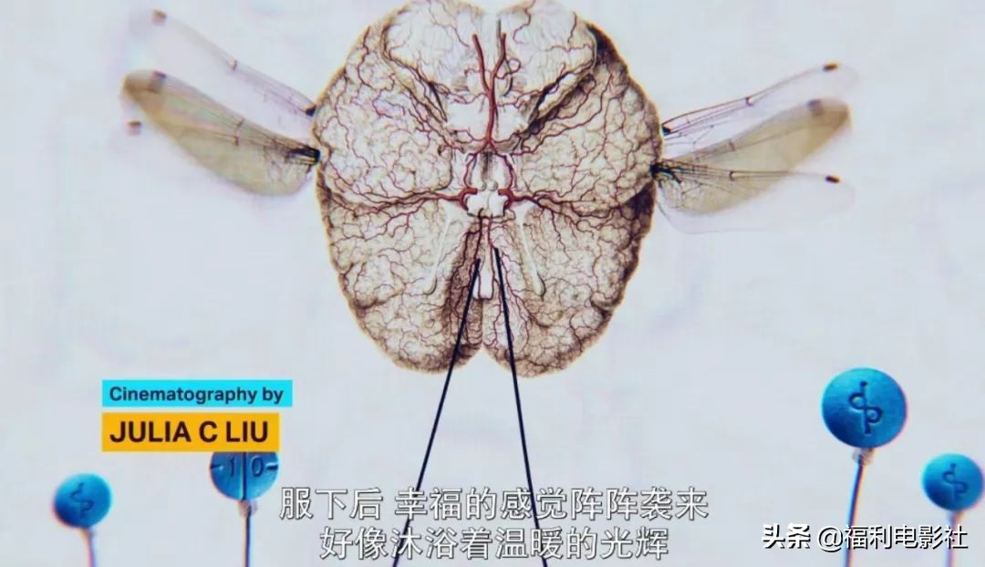 原来早有这种智商开挂药！如今美国学生上哈佛读名校要靠吃这药了