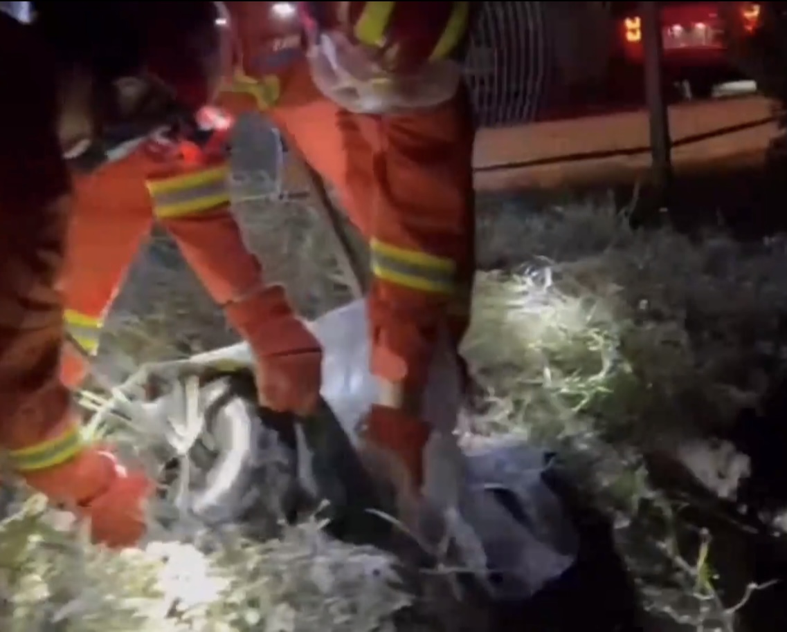 可怕40斤巨蟒藏天花板,吓人巨蟒