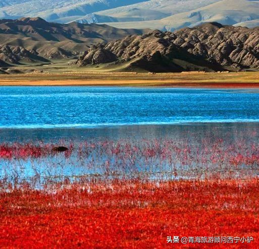 青海隐藏的秘密,青海发现美丽秘境全世界为之瞩目
