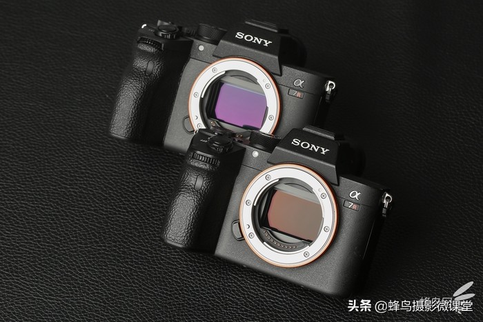 今年会出哪些全画幅微单,最强微单全画幅是r5吗