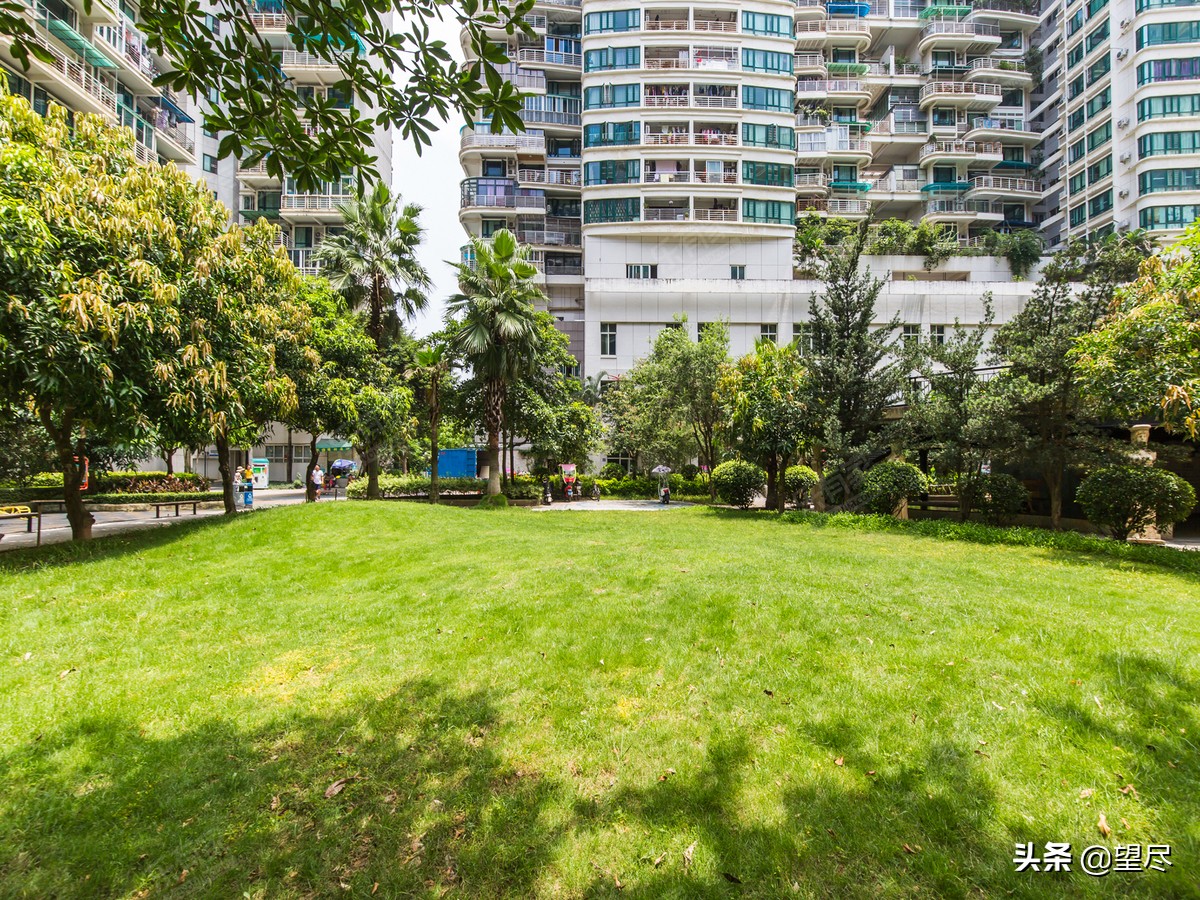 深圳宝安法拍房出售最新信息,深圳罗湖最近法拍房