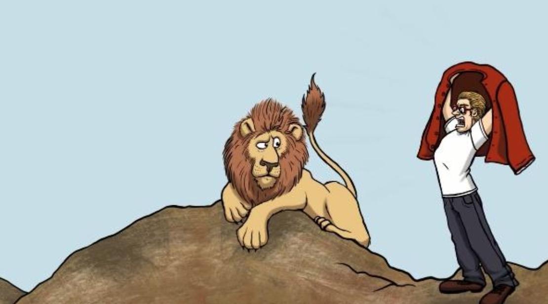 动物遇到危险会怎么做,野外遇到危险动物怎么办