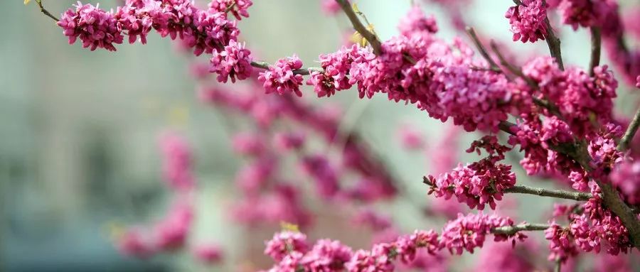 什么是糊涂经典语录,什么是糊涂账呢