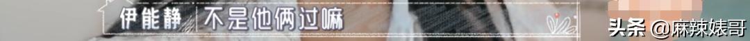 伊能静henry,伊能静为什么总是被吐槽