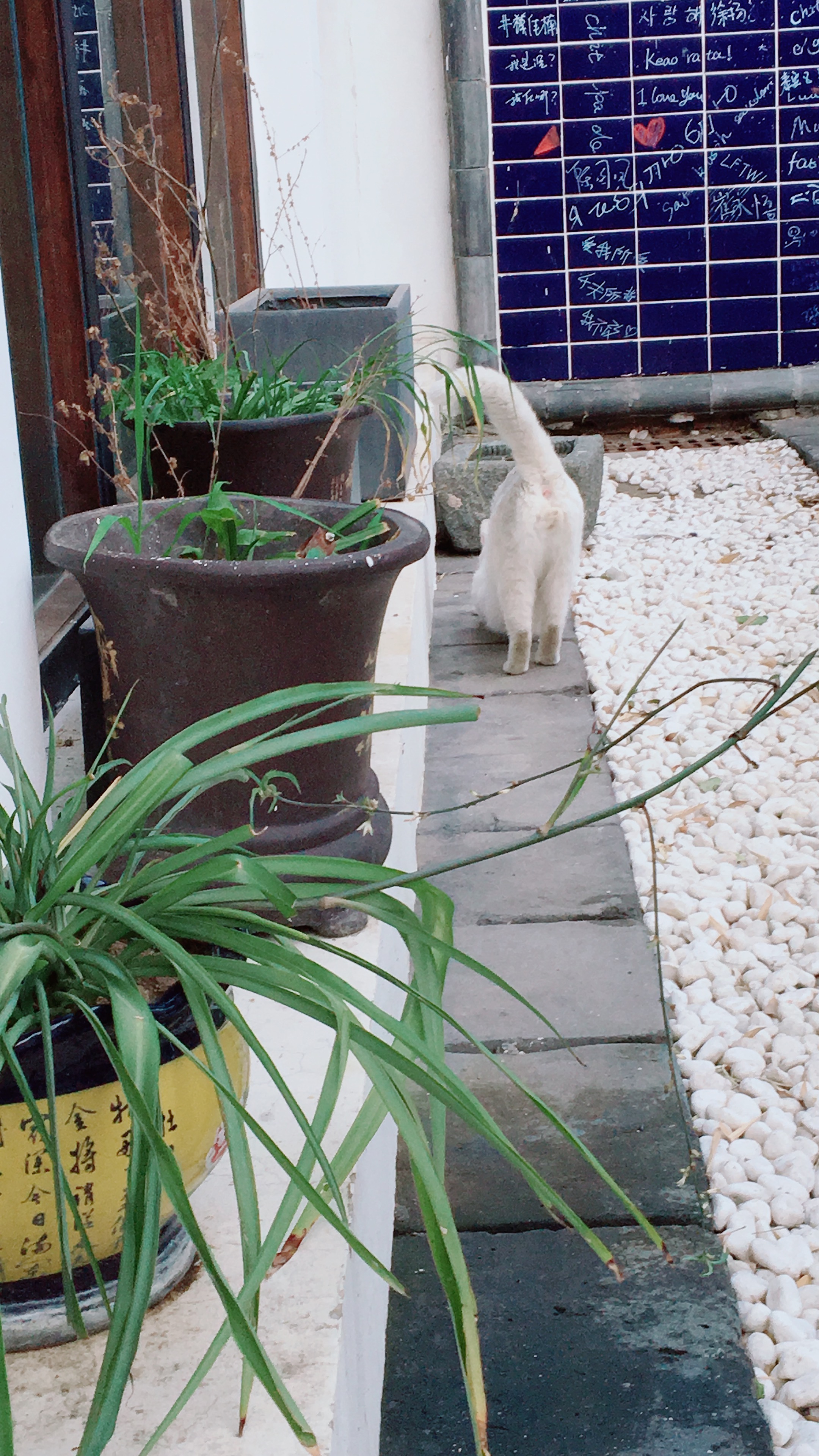 泰安麓垚山居怎么样,泰安麓垚山居万圣节
