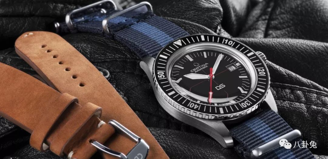 雪铁纳5800元,雪铁纳到底值得买吗