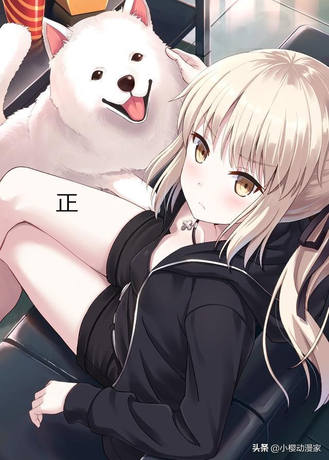 二次元人物有哪些属性,二次元中的正字什么意思