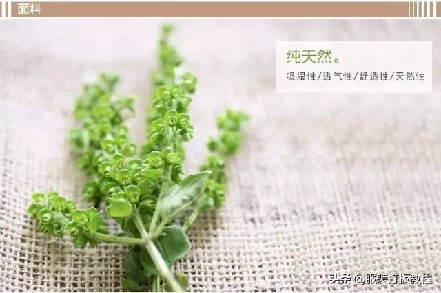 亚麻衣服一般多少钱,衣服亚麻材质