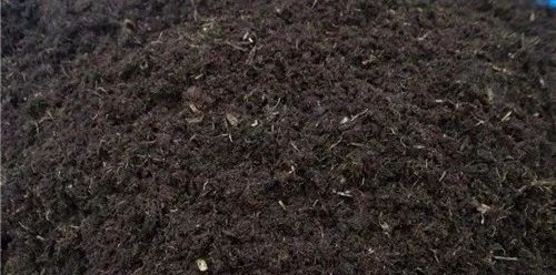 养花种植技术大全及配土,家庭养花如何使用绿沸石配土