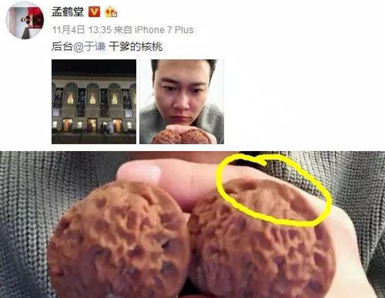 特别尖的核桃是什么品种,修尖又修底的核桃