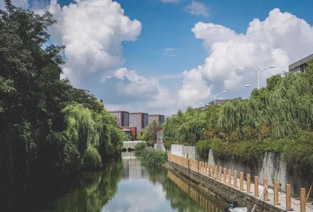 江苏一高校,江苏省四大高校