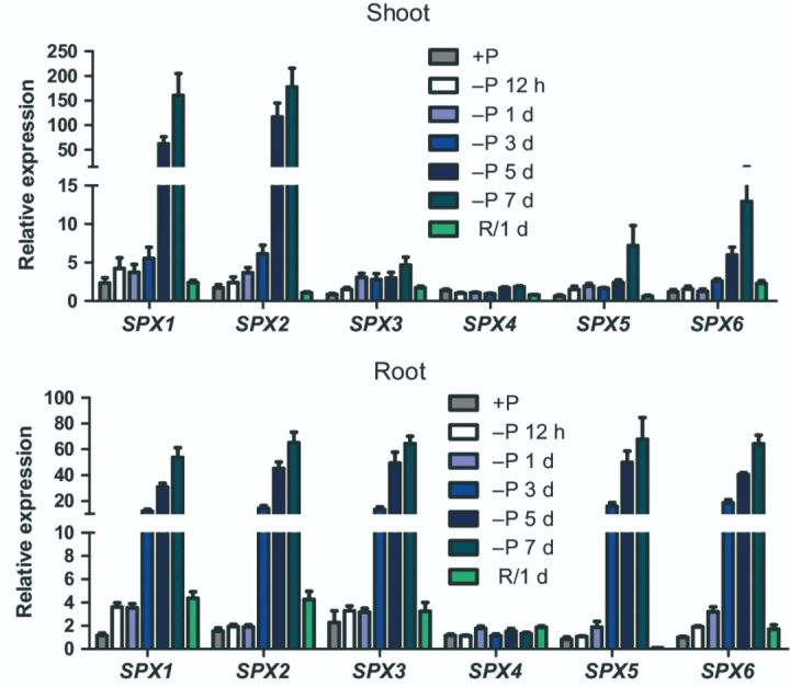 辨清敌我，统一战线——确定基因上下游关系