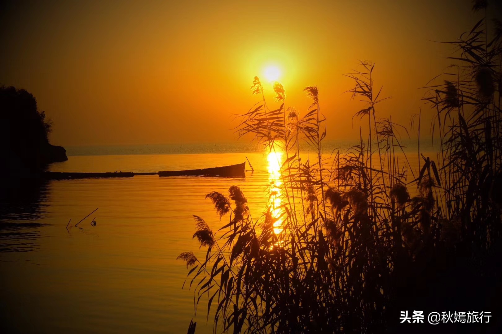 这座华东地区最大的湿地公园,拥有一千多亩芦苇荡,游客络绎不绝