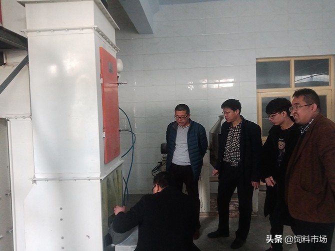 绿色无抗饲料齐鲁行之神牛药业：用制药工艺智造替抗精品