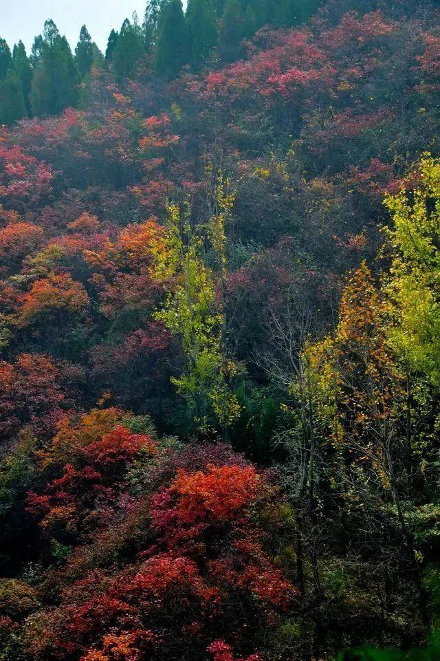 济南旅游景点推荐带孩子玩,济南旅游景点推荐适合带孩子