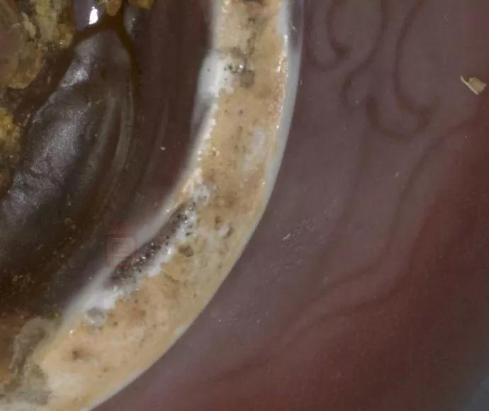 两岸故宫馆藏元代瓷器鉴赏,故宫元代瓷器碎片