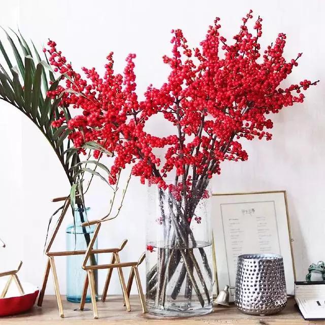 过年家里摆什么植物好,家里过年要摆几样水果