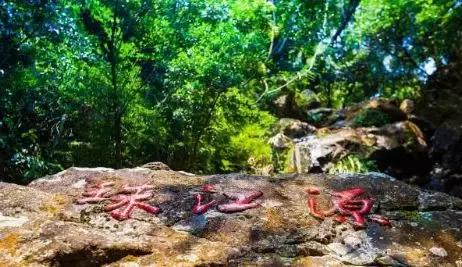 梧州江口网红打卡景点,梧州长洲岛网红打卡景点