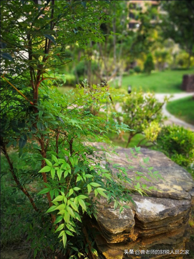 公司的所有权和控制权在谁手里,当当网现在控制权在谁手里