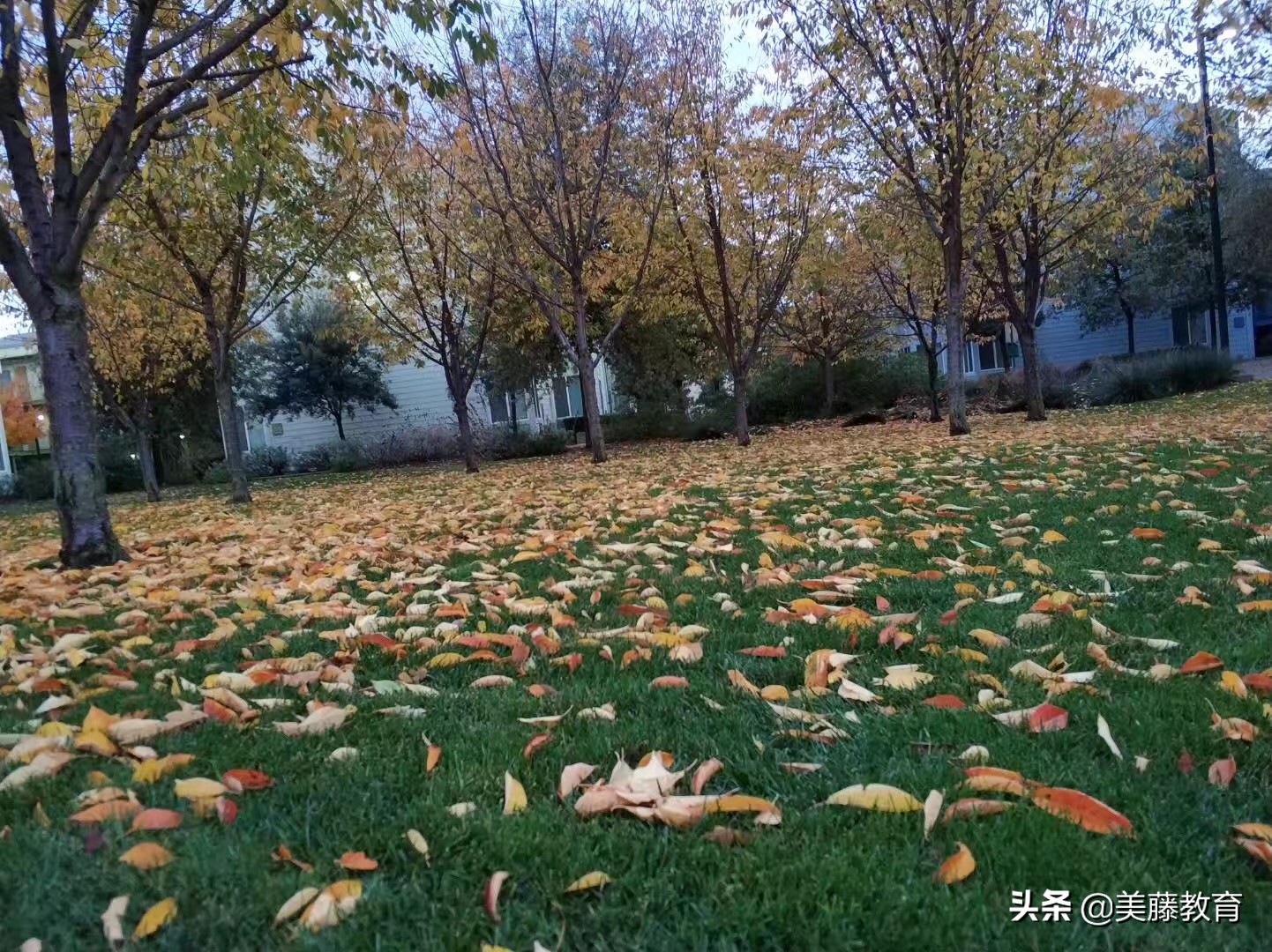 去美国留学有什么要求,去美国留学是什么意思