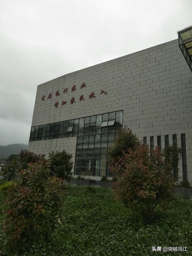 农民企业家稿件范文怎么写,农民企业家成长历程怎么写