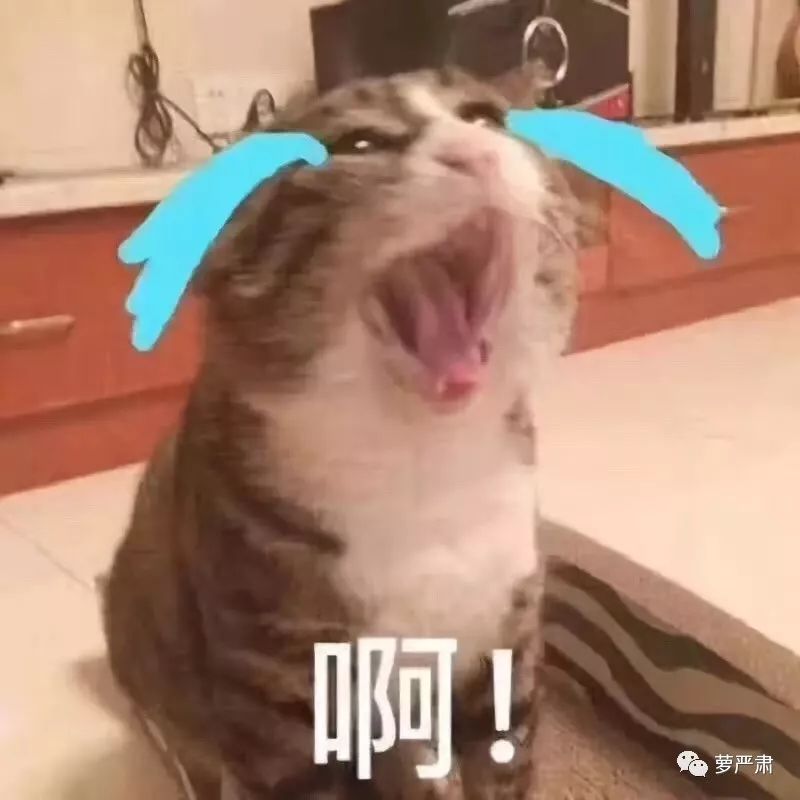 一开始我以为爱上了实力派,没想到他们还全是梗王