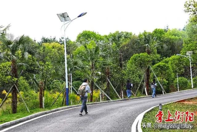 衡阳市天气预报30天查询百度,衡阳市天气预报app
